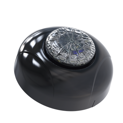 Imagen de Estrobo Oculto de 12 LED, Brida negra, 12 Vcd, Rojo/Azul, Lente transparente